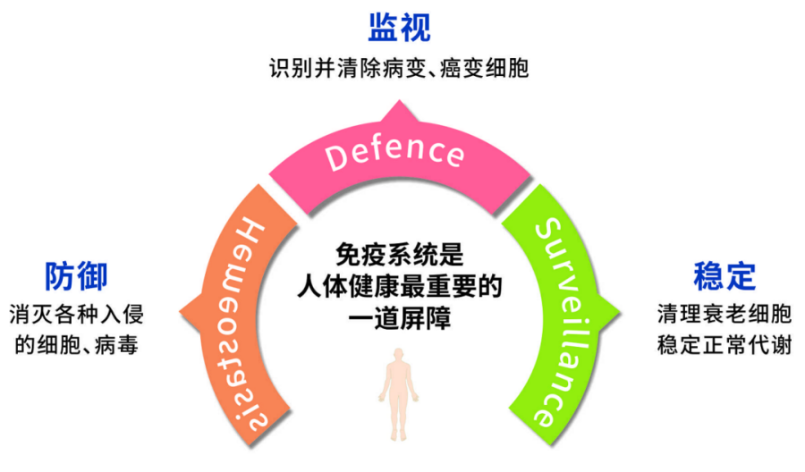 【醫(yī)訊】免疫五項(xiàng)（IgA,、IgG,、IgM、C3,、C4）檢查